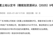 闲置4年！恒大汽车近44万平方米土地被收回